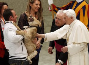 Pope Benedict XVI pets a lion cub during an audience with circus performers and music bands in Paul VI hall at the Vatican on December 1. The performers set up in St Peter’s Square late last week at the invitation of the Pontifical Council for the Pastoral Care of Migrants and Itinerant People. Pope Benedict XVI pets a lion cub during an audience with circus performers and music bands in Paul VI hall at the Vatican on December 1. The performers set up in St Peter’s Square late last week at the invitation of the Pontifical Council for the Pastoral Care of Migrants and Itinerant People.