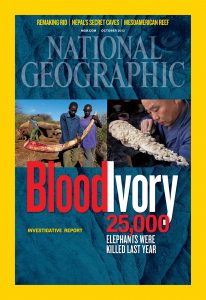 This is the cover of the October 2012 issue of National Geographic, which featured an article titled "Ivory Worship" about how the use of objects made of ivory in the devotions of many religions, not just Catholicism, are contributing to the slaughter of elephants in Africa. PHOTO: CNS/National Geographic This is the cover of the October 2012 issue of National Geographic, which featured an article titled "Ivory Worship" about how the use of objects made of ivory in the devotions of many religions, not just Catholicism, are contributing to the slaughter of elephants in Africa. PHOTO: CNS/National Geographic