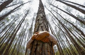 A Nepalese man hugs a tree while celebrating World Environment Day at the forest of Gokarna, on the outskirts of Kathmandu, Nepal, in this 2014 photo. Photo: CNS photo/Narendra Shrestha, EPA