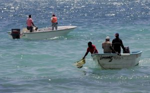 In this March 3, 2008 photo, environmental workers collect sea samples after an oil spill at Boca Chica, Dominican Republic. PHOTO: CNS/Orlando Barria, EPA