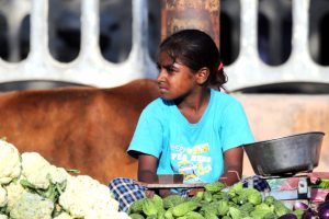 An Indian girl sells vegetables in Amritsar, India, on 3 August 2016. In a letter to bishops commemorating the feast of the Holy Innocents on 28 December 2016, Pope Francis said children must be protected from exploitation, slaughter and abuse, which includes committing to a policy of "zero tolerance" of sexual abuse by clergy. Photo:CNS/Raminder Pal Singh, EPA