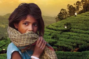 Childhood friendships and the divide between social and ethnic groups are both common themes in literature, and both serve as a launching pad for Sri Lankan-Australian author Patricia Weerakoon in her award-winning novel, Empire’s Children. Photo: Supplied