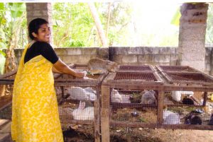 Courtesy of Perth teachers organised by Morley parishioner Maggie Box, this Sri Lankan woman can earn income by breeding rabbits. Photo: Maggie Box