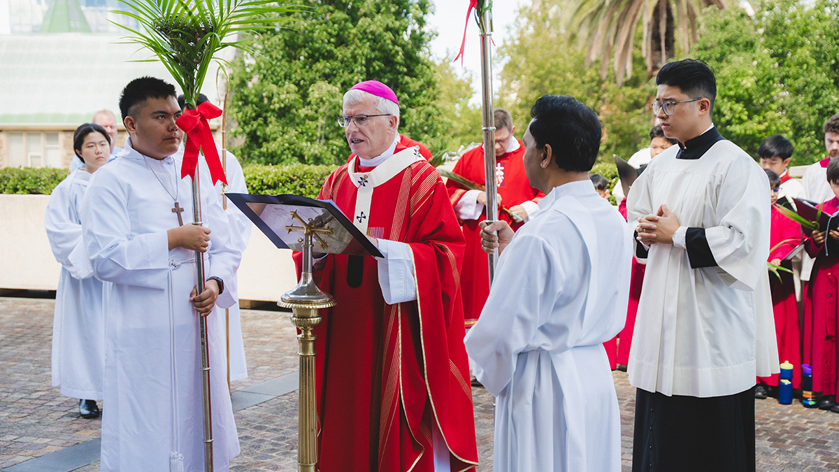 Archbishop Costello celebrating Palm Sunday Mass.